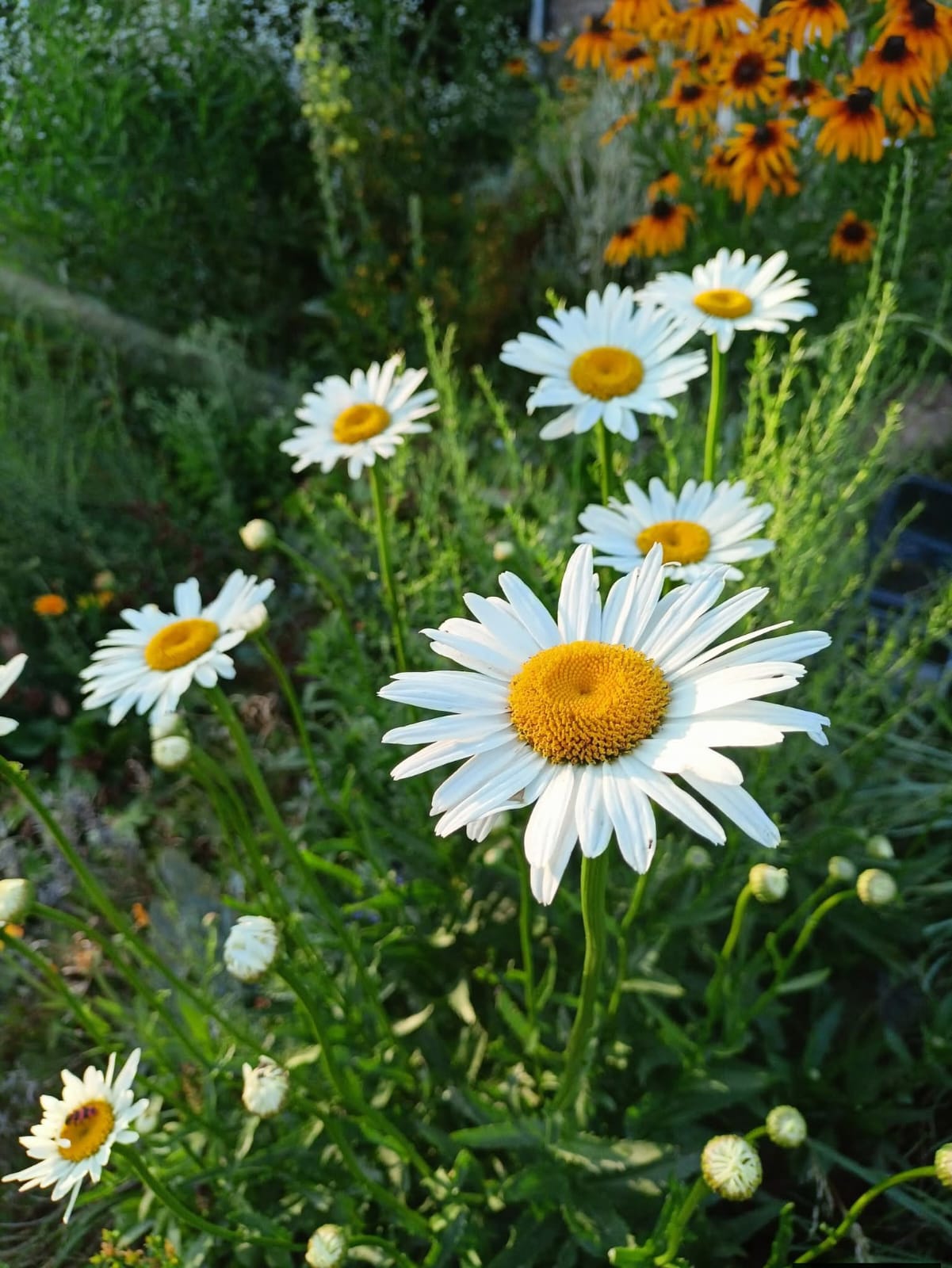 Casting Flowers